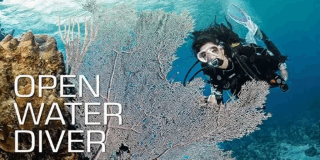 Getting Certified: Our Open Water Diver Journey